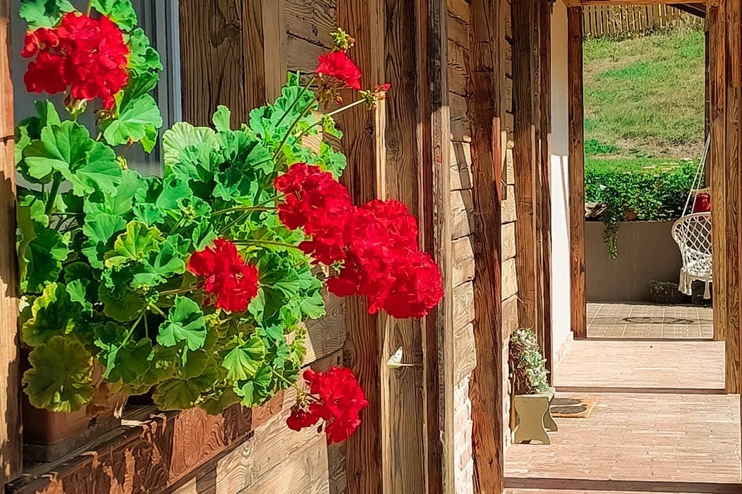 ligetvendeghaz-gyerekbarat-termeszet-szallas-szokolya