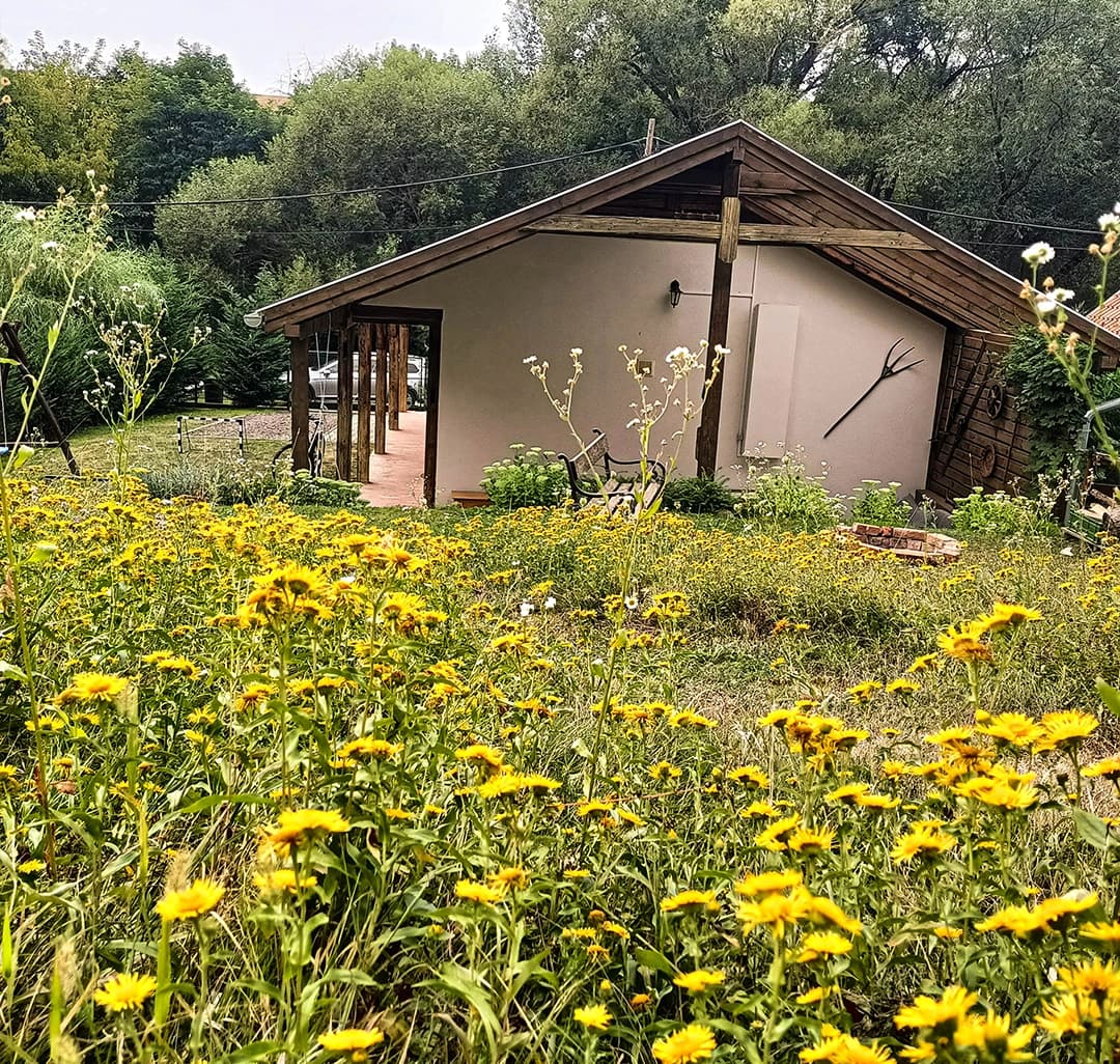 Tavasz a Börzsönyben