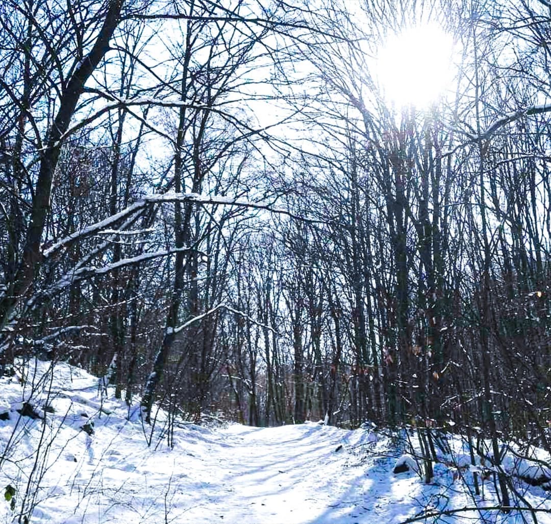 Tél a természetben